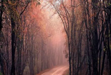 问鼎娱乐体育：新春走基层｜山东射击手枪队：“老枪”尽显责任与担当.