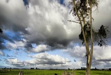 问鼎娱乐体育：五大联赛直塞榜：吉马良斯&奥利塞11次 切尔基&维尔茨&厄德高10次.