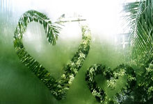 问鼎娱乐体育：吴曦在中超对阵河南打进6球，超过对阵其他对手进球数.