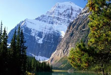 短池世锦赛张正伟无缘决赛 郑诠龙打破全国纪录.